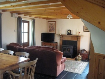 Wood burning stove