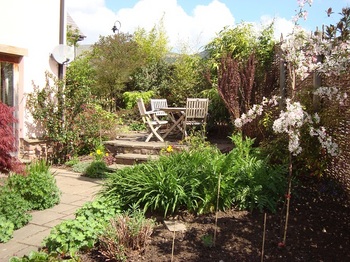 Back garden